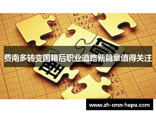 费南多转变国籍后职业道路新篇章值得关注